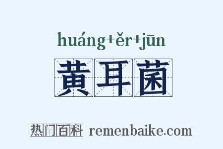 黄耳菌是什么意思的图片